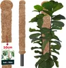 KOTARBAU® Mechová tyč pro Monsteru Kokosová tyč Přírodní ⌀ Náhled obrázku produktu 1