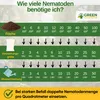 An infographic showing how many nematodes are needed based on area, packaging size, and water mixture. It includes a logo and some icons. Produktbild-Vorschau