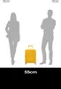 American Tourister Soundbox Spinner 55 / 20 TSA EXP Trolley Produktbild-Vorschau 9