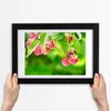 Bild 30x20 MDF-Rahmen, Wandkunst Himbeeren im Garten Produktbild-Vorschau 3