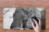 MuchoWow® Mauspad Mousepad Elefant - Tiere - Äste - Natur - Produktbild-Vorschau 3
