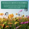 Gastgeschenke Hochzeit Blumensamen - Besonderes Produktbild-Vorschau 7
