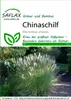 Artikelbild 1 von 'Chinaschilf' aus der Kategorie Gräsersamen Voir les images du produit