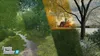 Astragon Landwirtschafts-Simulator 22 - Collector's Produktbild-Vorschau 6
