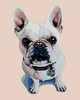 Diamondi - Diamond painting - WEIßE BULLDOGGE MIT BLAUEM Produktbild-Vorschau 1