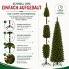 Triumph Tree Arbre de Noël artificiel Bristlecone Fir - Voir les images du produit 11