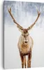 Bild auf Leinwand - Leinwandbild - Einteilig - Hirsch Produktbild-Vorschau 1