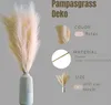 Layba Herbe de la Pampa Décoration en beige Boho Herbe de Voir les images du produit 4