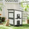 PawHut Katzenhaus aus Holz 2-stöckiges Outdoor Isolierte Produktbild-Vorschau 2