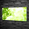 Tulup® Glas-Bild - 100x50 -Wandkunst - Wandbild hinter Produktbild-Vorschau 2