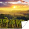 MuchoWow® Poster Toskana - Italien - Weinreben 75x75 cm - Produktbild-Vorschau 1