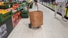 Chariot de marché à grandes roues, panier de marché, panier Voir les images du produit 10