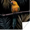 MuchoWow® Poster Vogel - Papagei - Zweig - Blätter 75x75 cm Produktbild-Vorschau 1