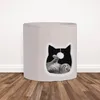 Relaxdays : niche pour chat avec coussin et jouets, maison Voir les images du produit 2