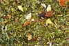 Tè verde Yerba Mate Green Naranja 1 kg - Tè verde yerba Anteprima dell’immagine prodotto 4