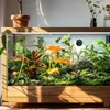 Terrario Exato 2in1 - termometro con igrometro per terrario Anteprima dell’immagine prodotto 3