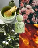Grandeur Tubbees Matcha  Heaven Eau De Parfum 50 ml Produktbild-Vorschau 12