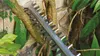 Bosch EasyHedgeCut 18-45 Akku-Heckenschere Produktbild-Vorschau 26