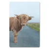 MuchoWow® Mauspad Mousepad Scottish Highlander - Straße - Produktbild-Vorschau 1