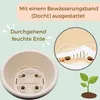 2er Set Blumentopf Hängend Blumenampel Außen Hängetopf für Produktbild-Vorschau 7