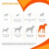 Nylabone Power Chew: Huesos duros para masticar, sabor a Vista previa de la imagen del producto 7