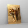 Bilder auf glas - Einteilig - tiger tier - 50x70cm - Produktbild-Vorschau 4