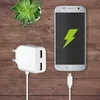 A white USB charger and a smartphone charging on a wooden surface, with a succulent plant in the background. Anteprima dell’immagine prodotto