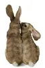Gartenfigur Hasen Pärchen Tierfigur Kaninchen 27 cm Produktbild-Vorschau 2