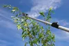 Meister Greifschere Teleskopierbar von 111–166 cm Ø 10 mm Produktbild-Vorschau 5