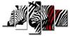 Obraz na plátně Zebra Černobílý 5-dílný 160x80 cm Náhled obrázku produktu 1