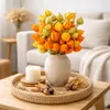 Physalis Zweige getrocknet Natur - Lampionblume Deko - Boho Produktbild-Vorschau 7