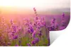 MuchoWow® - Selbstklebend - Fototapeten Produktbild-Vorschau 1