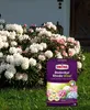 SUBSTRAL® Bodenkur Rhodo-Vital – Optimale Bodenpflege für Produktbild-Vorschau 4