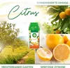 Air Wick Freshmatic Max Nachfüller 2x Citrus 250ml Produktbild-Vorschau 2