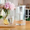 A water filter pitcher and glass are set on a wooden board with a lemon and flowers in the background. Produktbild-Vorschau