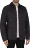 A man wearing a blue quilted jacket. Produktbild-Vorschau