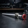 Rockshox Boxxer Race/rc 2010-16 Patrone Silber  Silber One Produktbild-Vorschau 3