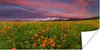 MuchoWow® Poster Blumenwiese - Rosa - Berge 40x20 cm - Produktbild-Vorschau 1