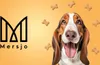 A dog is surrounded by bone-shaped treats, with a logo and text on the left side of the image. Produktbild-Vorschau