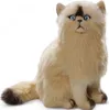 A plush toy cat sitting on a white background. Náhled obrázku produktu