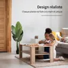 IvoQ Plante Artificielle Strelitzia 120 cm - Oiseau de Voir les images du produit 5
