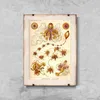 Poster - Canvas - Leinwand - 29,7 cm x 42 cm - Nautical Produktbild-Vorschau 1
