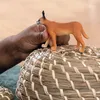Schleich Wild Life - Karakalweibchen, Figur für Kinder ab 3 Produktbild-Vorschau 2