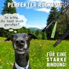 GIZZY® 2x Hundepfeife lauter & weitreichender Pfeifton I Produktbild-Vorschau 2