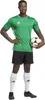 Adidas Koszulki Tabela 23 Jersey, IA9147, Rozmiar: 176 Podgląd zdjęcia produktu 4