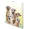 Sammelmappe A4 PP Erdmännchentruppe Packung mit 3 Stück Produktbild-Vorschau 4