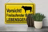 Blechschild Hinweis 30x20cm Vorsicht freilaufender Bulle Produktbild-Vorschau 5