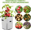 3 Stück Pflanzsack Wiederverwendbar Kartoffelpflanzbeutel Produktbild-Vorschau 2