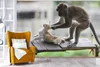 MuchoWow® Fototapete für Wohnzimmer oder Schlafzimmer Produktbild-Vorschau 6