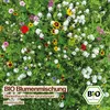 Samenliebe  Blumenmischung Samen | Bienenfreundlicher Produktbild-Vorschau 4